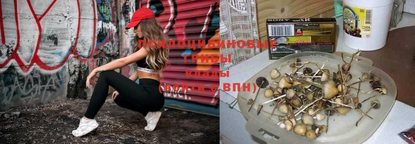 дживик Беломорск