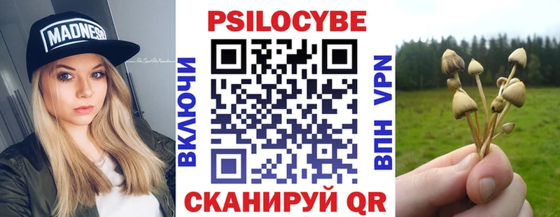 Псилоцибиновые грибы Cubensis  цены наркотик  гидра tor  Жирновск 